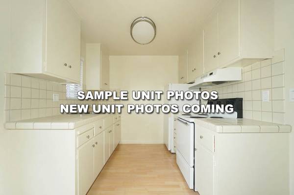 Curtner Apartments photo 4