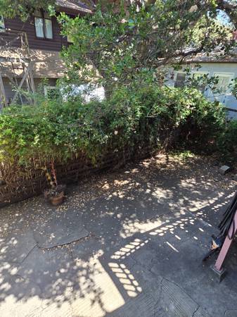 0BR/1BA Other on Derby St · Berkeley photo 5