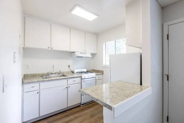 1BR/1BA Apartment · San Jose photo 3