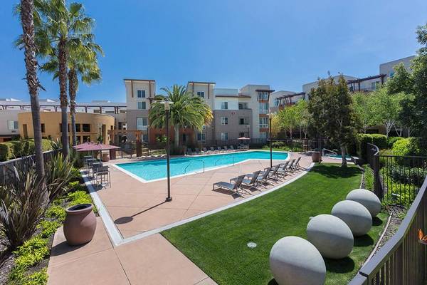 Apartments on El Camino Real · Santa Clara photo 5