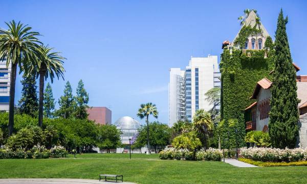 Apartments on Stevens Creek Blvd · San Jose photo 4