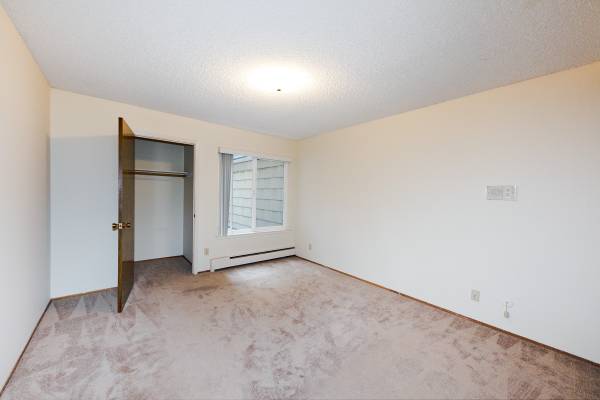 1BR/1BA Apartment on Arguello · San Francisco photo 2