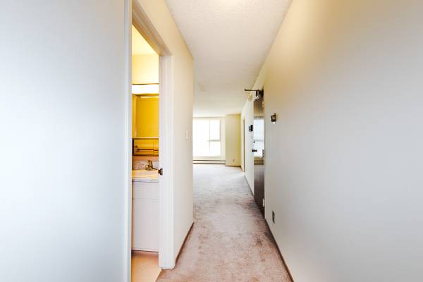1BR/1BA Apartment on Arguello · San Francisco photo 4