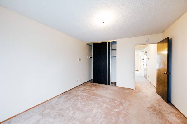 1BR/1BA Apartment on Arguello · San Francisco photo 3