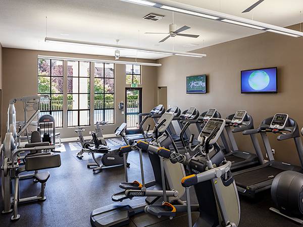 Apartments on Mansion Park Dr · Santa Clara photo 4