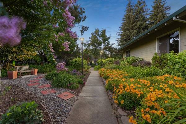 Apartments on Soscol Avenue · Napa photo 3