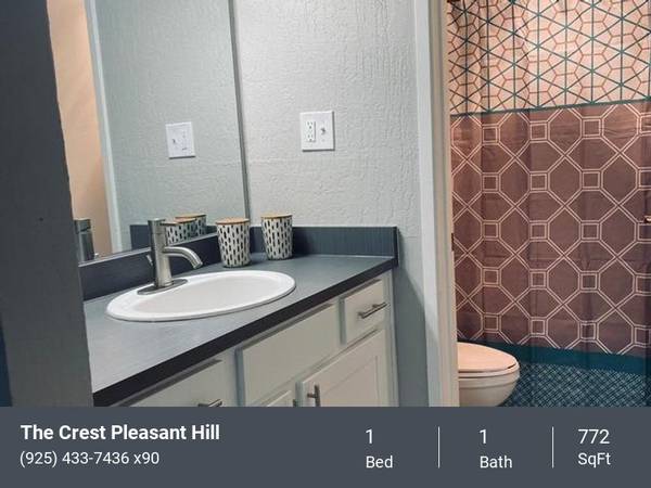 Apartments on Camelback Road · Pleasant Hill photo 5