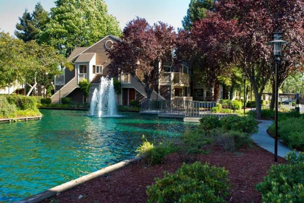 Apartments on Springfield Drive · San Ramon photo 4