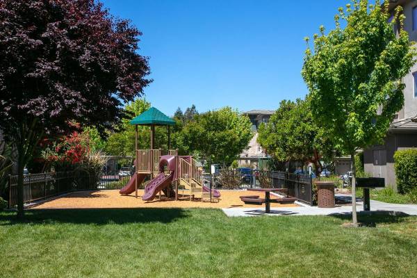 Apartments on Dowdell Avenue · Rohnert Park photo 4