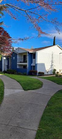 Mission Bay Apartments photo 2