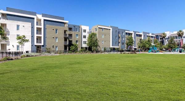 Apartments on Newbury Park Drive · San Jose photo 3