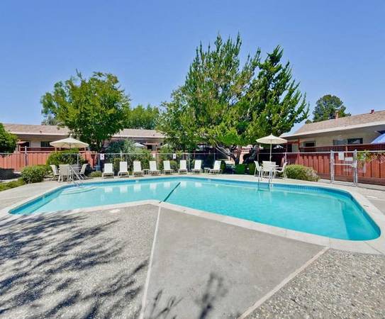 Apartments on Mangrove Ave · Sunnyvale photo 3