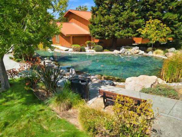 Apartments on Springlake Drive · San Lorenzo photo 3