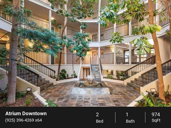Apartments on Trinity Ave · Walnut Creek photo 5