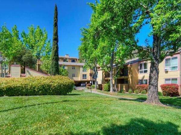 Apartments on Camelback Road · Pleasant Hill photo 3