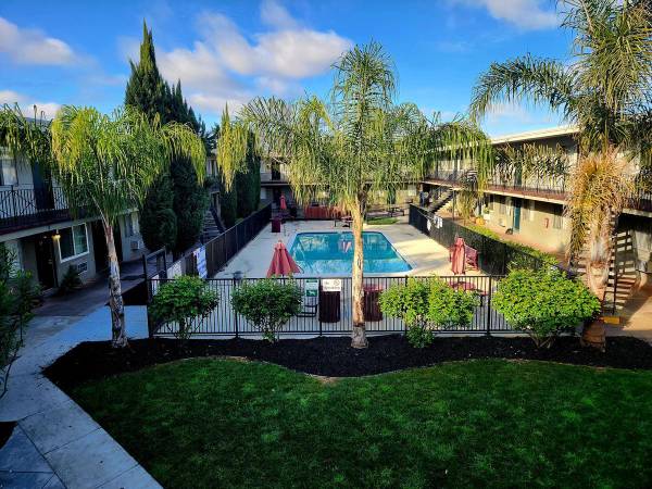 1BR/1BA Apartment on Adelaide Street · Concord photo 3
