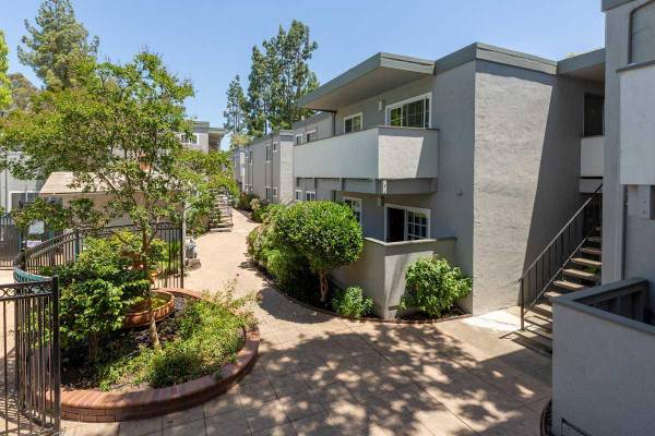 Apartments on Ellis Street · Concord photo 4