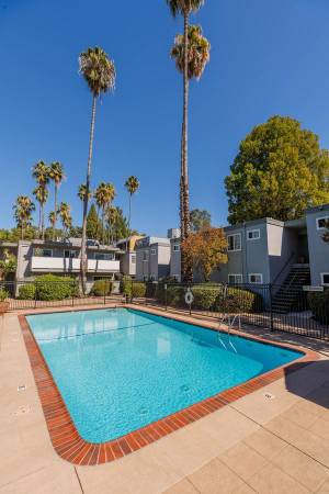 Apartments on Ellis Street · Concord photo 3