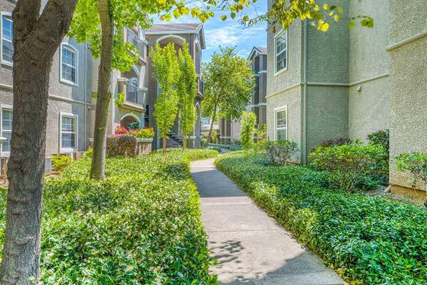 Apartments on Solano Ave. · Napa photo 5