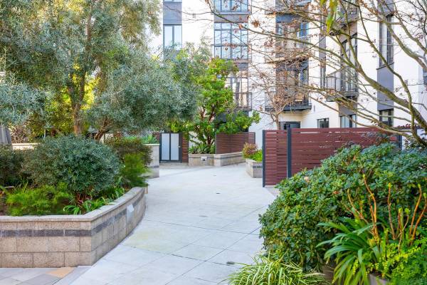 Apartments on Olin Ave · San Jose photo 5