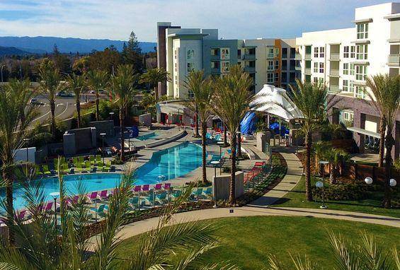 Apartments on Charlotte Dr · San Jose photo 2