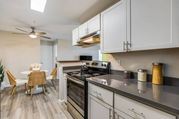 The Dutton Apartments photo 3