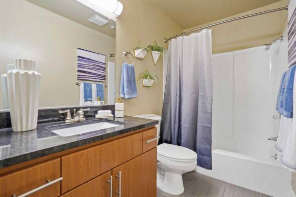 Apartments on Continental Circle · Mountain View photo 2