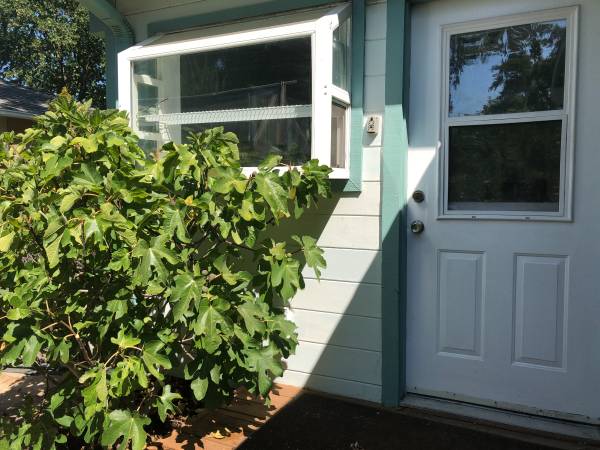 1BR/1BA In Law Adu · Walnut Creek photo 5