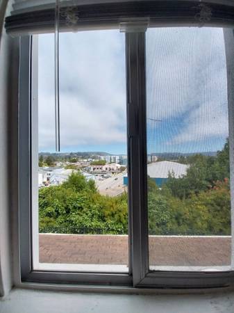1BR/2BA Apartment · Santa Cruz photo 4