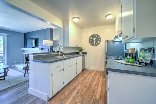 2BR/1BA Apartment · San Francisco photo 5