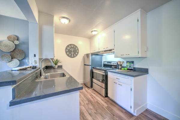 2BR/1BA Apartment · San Francisco photo 4