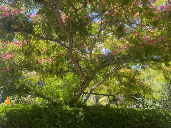 1BR/1BA Duplex · Forest Knolls photo 2