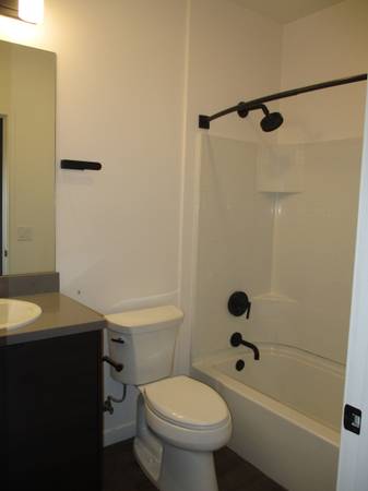 1BR/1BA Apartment on 17th Ave. · Santa Cruz photo 5