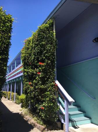 Apartments on Telegraph Ave · Oakland photo 2