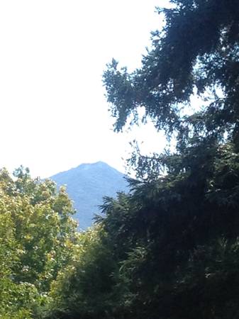 2BR/1BA Apartment on Belle Ave · San Rafael photo 2