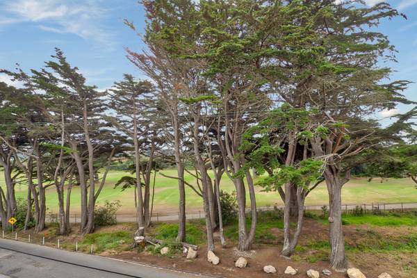 Apartments on Paloma Ave · Pacifica photo 5