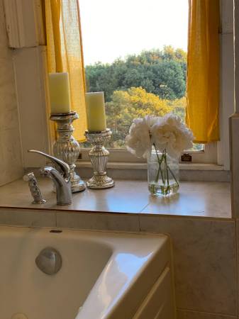 1BR/1BA Apartment · San Francisco photo 2