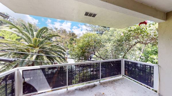Apartments on Lincoln Ave - 315a · San Rafael photo 4