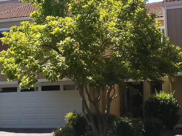 Townhouses on Tampico · Walnut Creek photo 4