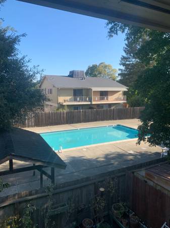 1BR/1BA Apartment · Santa Rosa photo 4