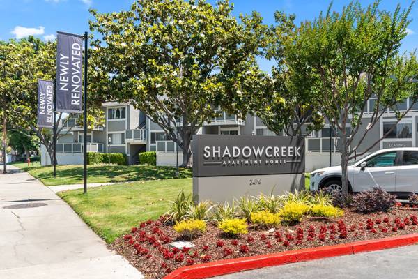 ShadowCreek photo 3