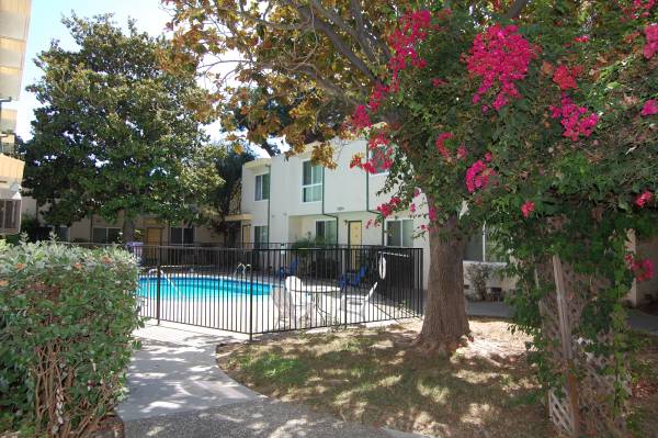 1BR/1BA Apartment · Campbell photo 2