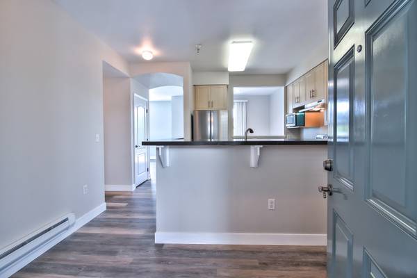 Catalina Luxury Apartments photo 3