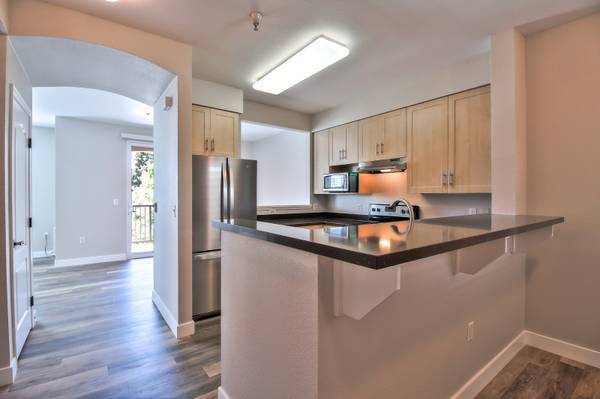 Catalina Luxury Apartments photo 5