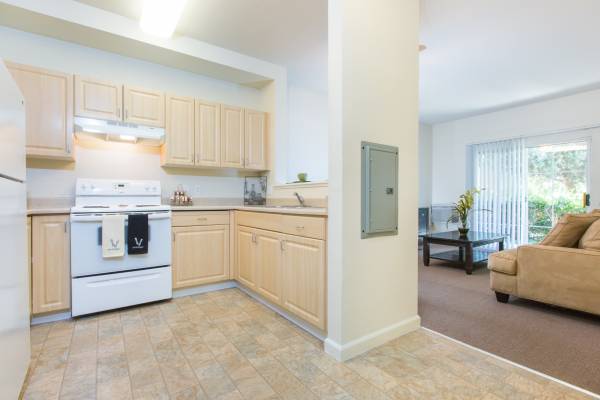 1BR/1BA Apartment · San Jose photo 2