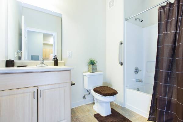 1BR/1BA Apartment · San Jose photo 4
