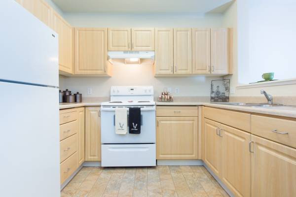 1BR/1BA Apartment · San Jose photo 2
