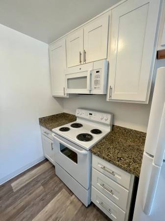 Fully renovated home in San Jose photo 4