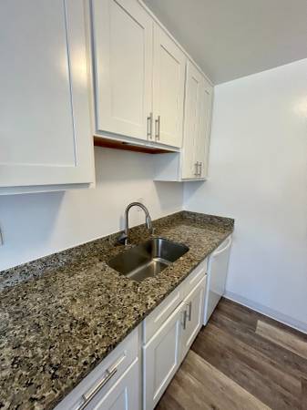 Fully renovated home in San Jose photo 3