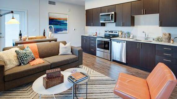 1BR/1BA Apartment · San Jose photo 5